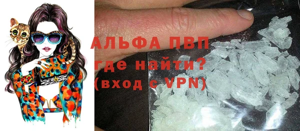 a pvp Коряжма