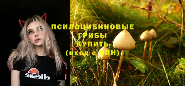 mix Костерёво